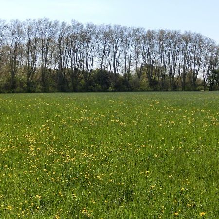 Gite Du Gardien Saint-Martin-de-Crau Kültér fotó