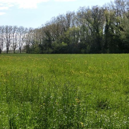 Gite Du Gardien Saint-Martin-de-Crau Kültér fotó