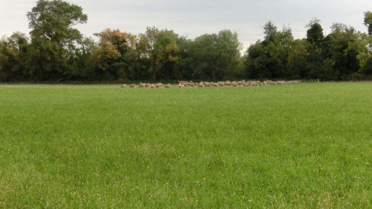 Gite Du Gardien Saint-Martin-de-Crau Kültér fotó