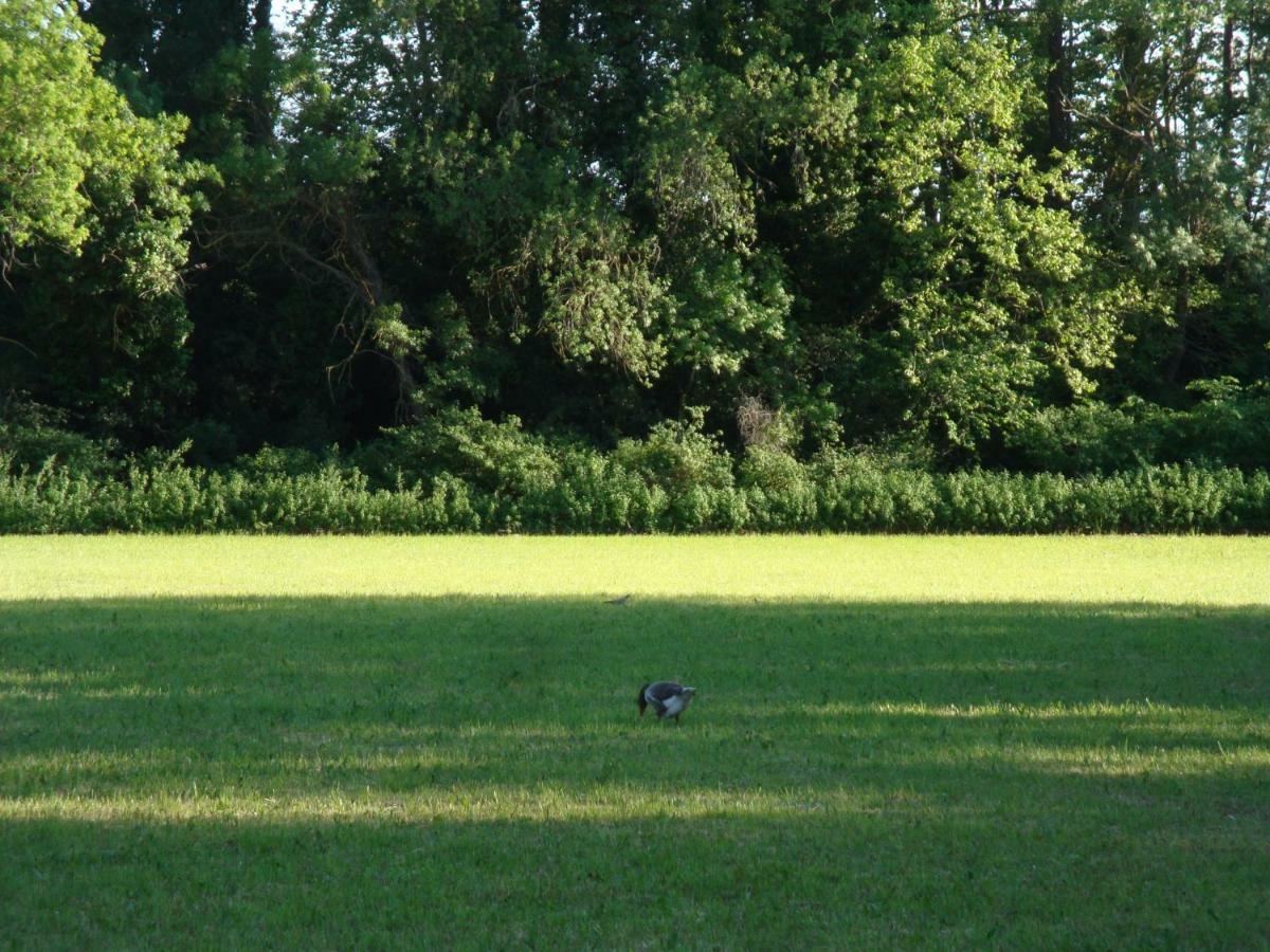 Gite Du Gardien Saint-Martin-de-Crau Kültér fotó