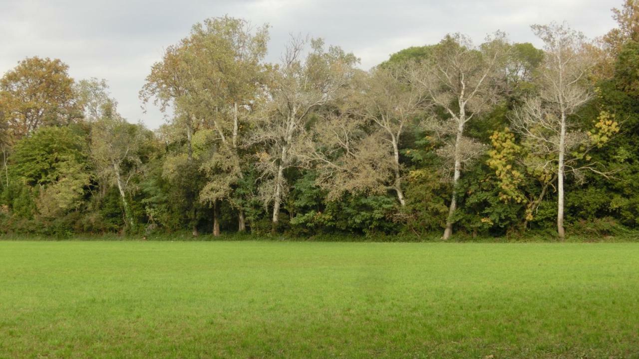 Gite Du Gardien Saint-Martin-de-Crau Kültér fotó